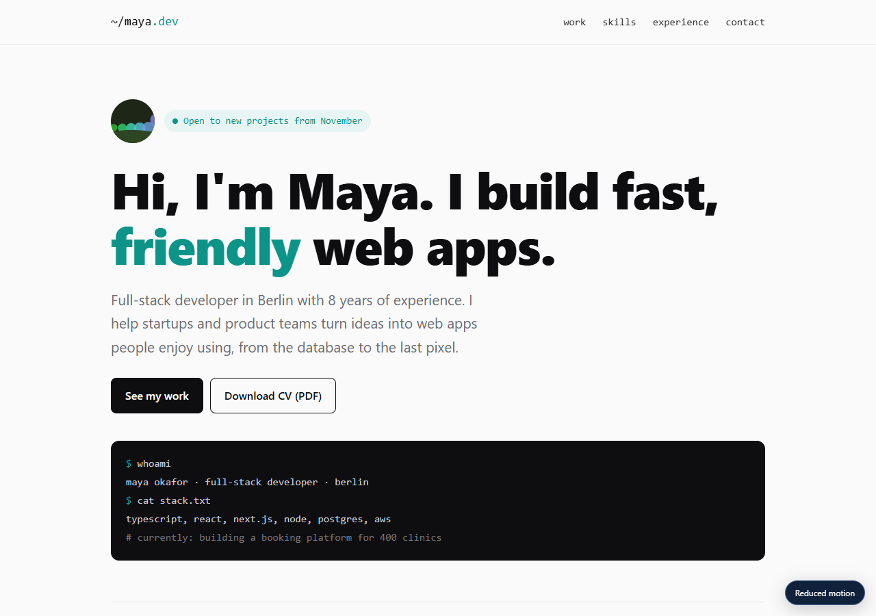 Developer Portfolio preview