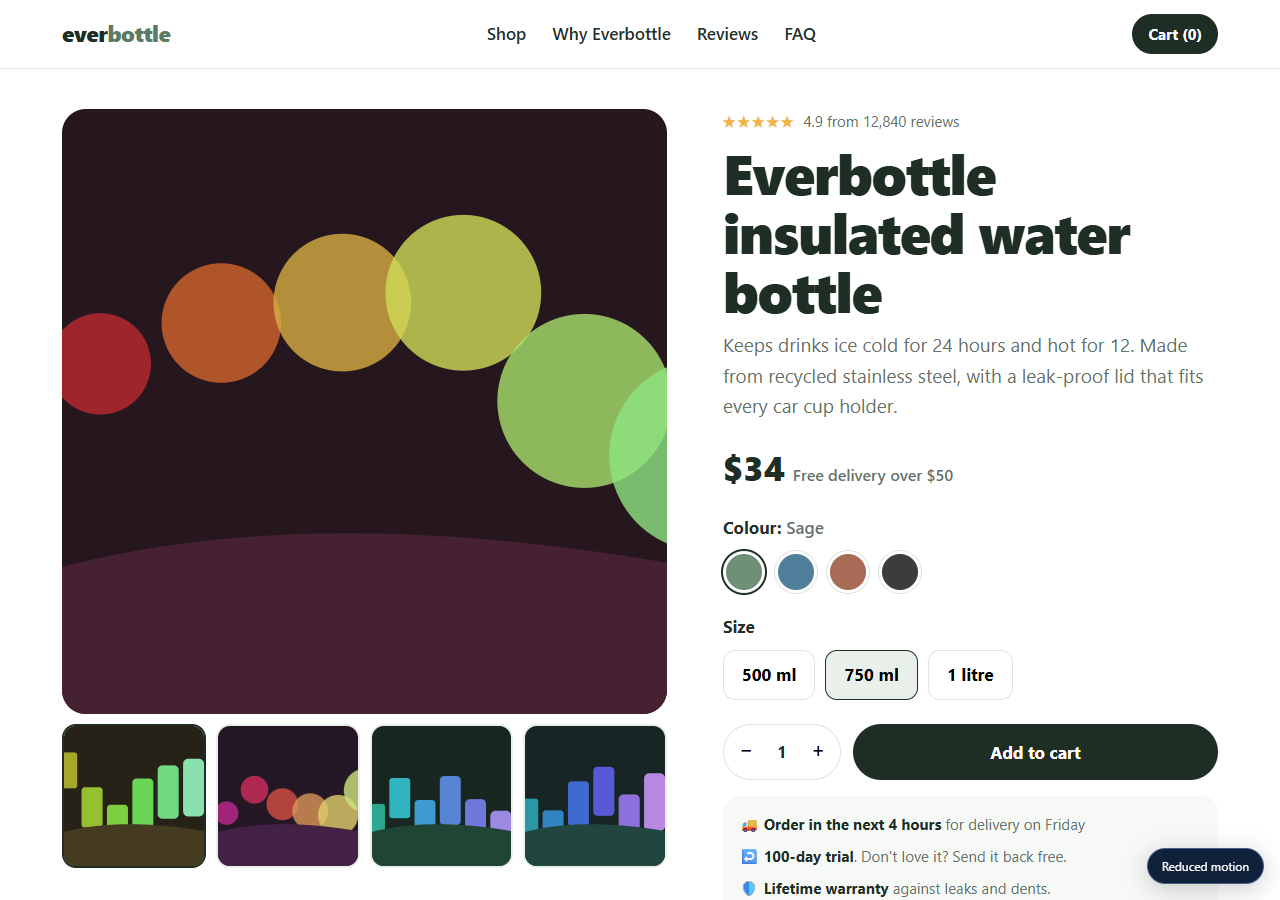 Single Product Store preview