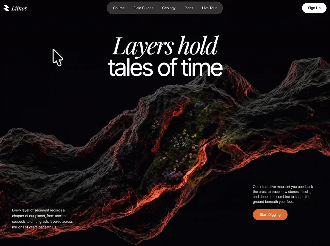 MotionSites Interactive Discovery original design reference